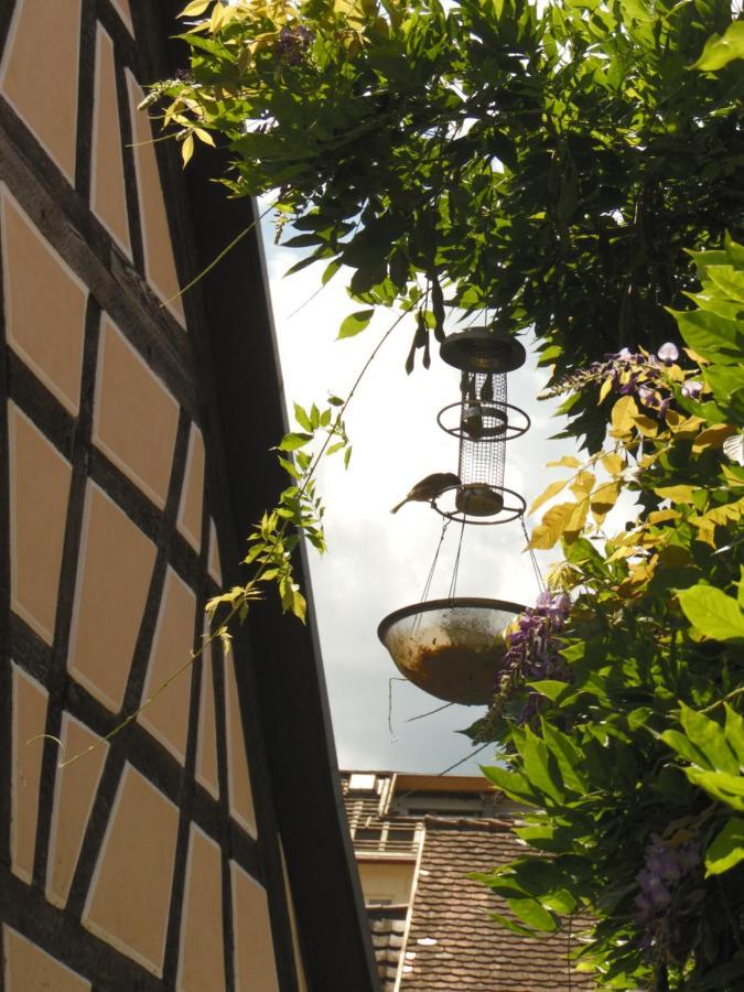 Amtorli Endingen am Kaiserstuhl Exterior photo